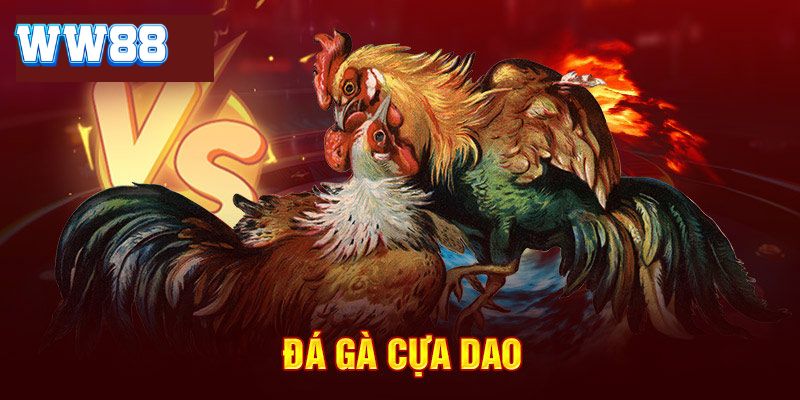 Đá gà cựa dao và luật chơi