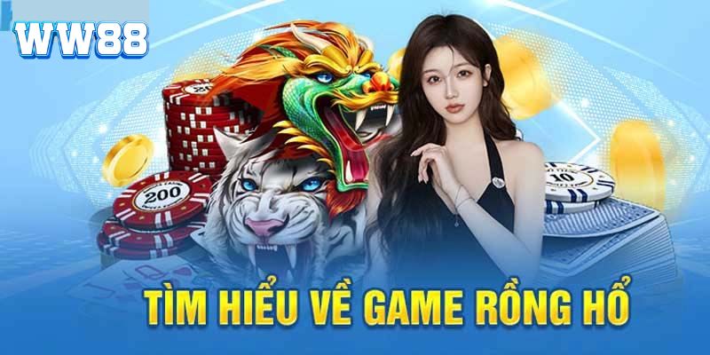 Rồng hổ là gì?